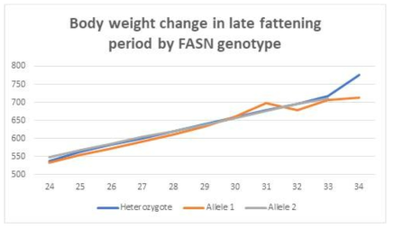 Effect of FASN1 Genotype on Body Weight Gain During Late Fattening Stage of Hanwoo Steers