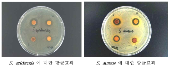 프로폴리스 분획물의 피부상재균에 대한 항균 효과