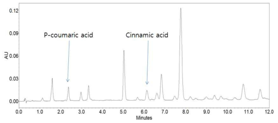 프로폴리스에서 p-coumaric acid 와 cinnamic acid 확인