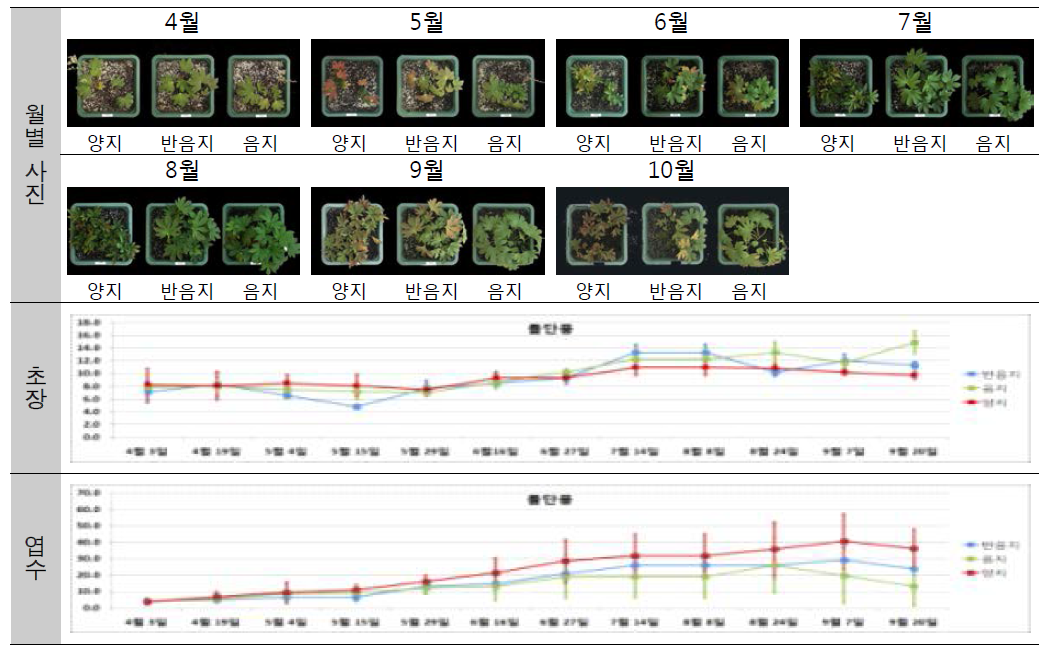 [보고서]도시 옥외 공간 정원식물의 일조환경 식재적합도 평가기술개발