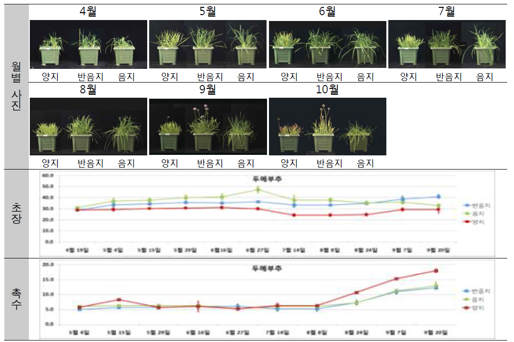 [보고서]도시 옥외 공간 정원식물의 일조환경 식재적합도 평가기술개발