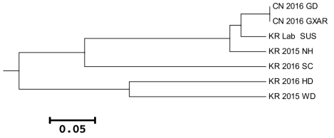 Phylogenetic analysis of N. lugens population by UPGMA