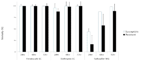 Mortalities according to susceptible and imidacloprid resistant N. lugens against the other insecticides for 24, 48, and 72hrs after treatment