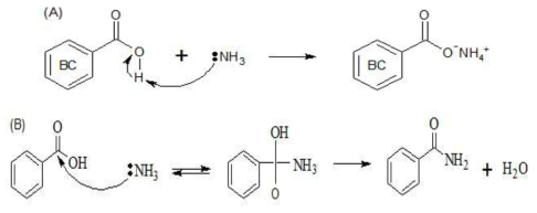 Reaction of biochar carboxyl surface group reacting with ammonia, with ammonia acting as (A) Brownsted or (B) Lewis acid3,47