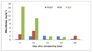 Effect of nitrogen mineralization in soil for biochar pellet application during rice cultivation