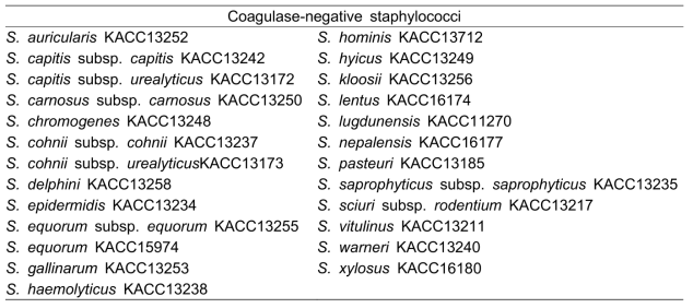 박테리오신 항균활성 실험에 사용한 coagulase-negative staphylococci 균주 목록