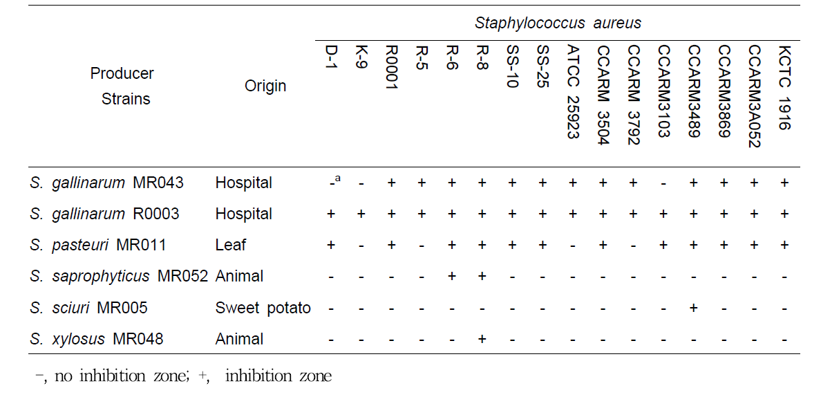 박테리오신 생성 균주의 S. aureus 생장 억제