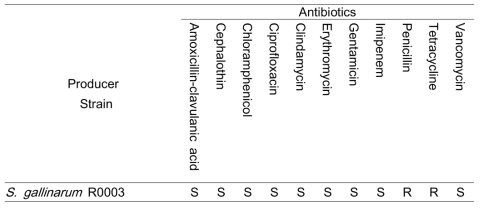 S. gallinarum R0003의 항생제내성 실험 결과