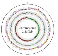 S. epidermidis R0002 genome의 유전체 지도