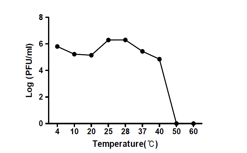Pectobacterium 제어용 박테리오파지(10421-태5)의 온도별 안정성