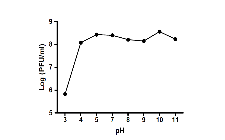 Pectobacterium 제어용 박테리오파지(10421-태5)의 pH별 안정성