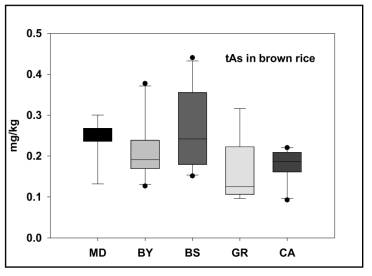 Arsenic content in brown rice harvested from closed metal mining area (mg/kg)