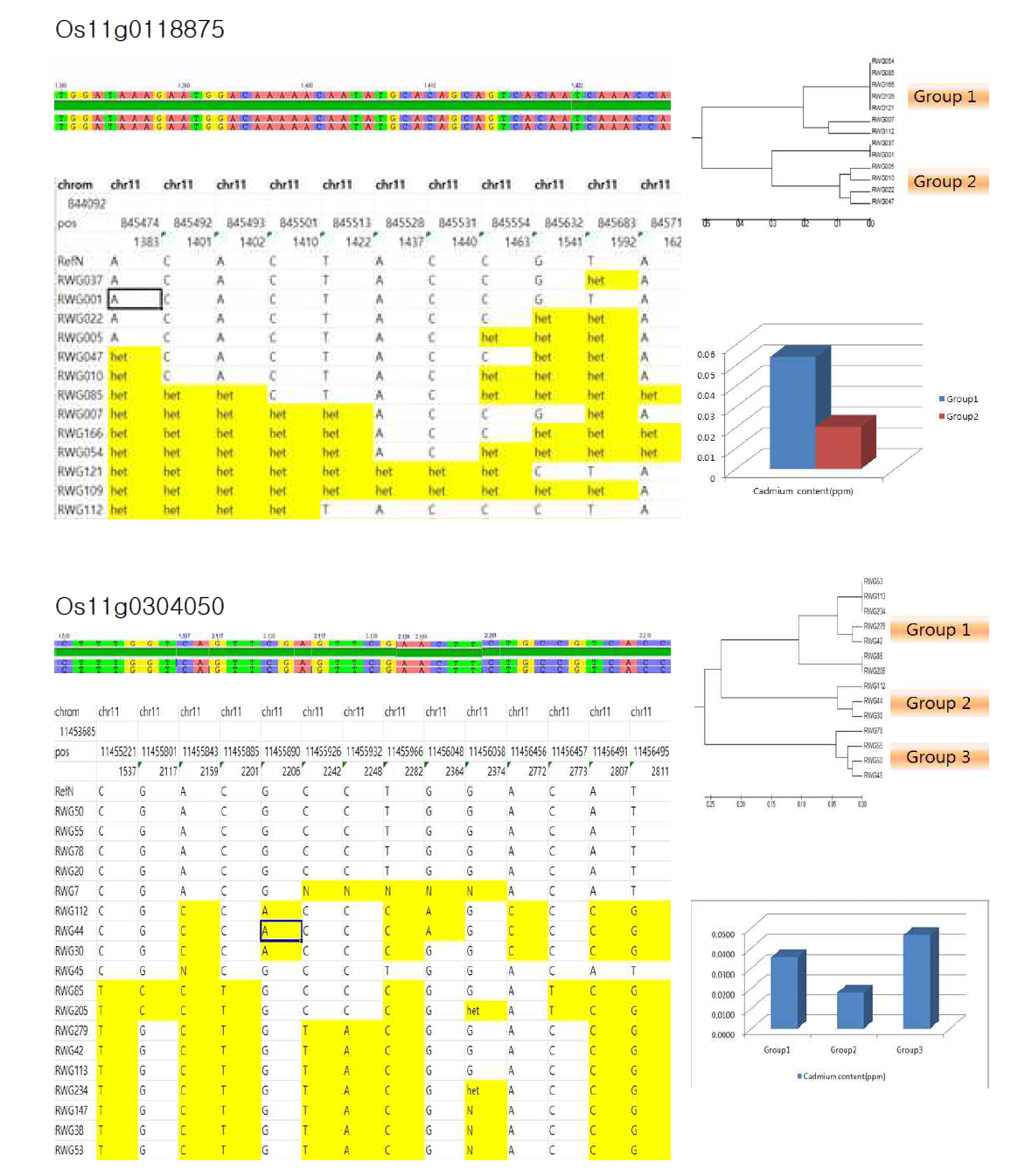 Number of haplotype variation in genes related Cadmium among the 137 accessions of rice core set. (A) Nucleotide variation in the coding region, (B) Phylogenetic tree of the Cadmium, (C) Cadmium content group