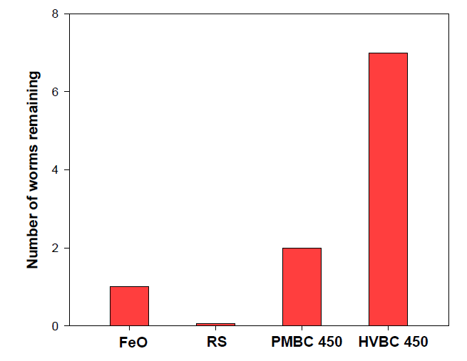 Number of worms remaining after the completion of avoidance test in iron-rich soils (FeO: Iron oxide; RS: Red soil; PMBC 450: Poultry manure biochar at 450℃ ; HVBC 450: Hairy vetch biochar at 450℃)