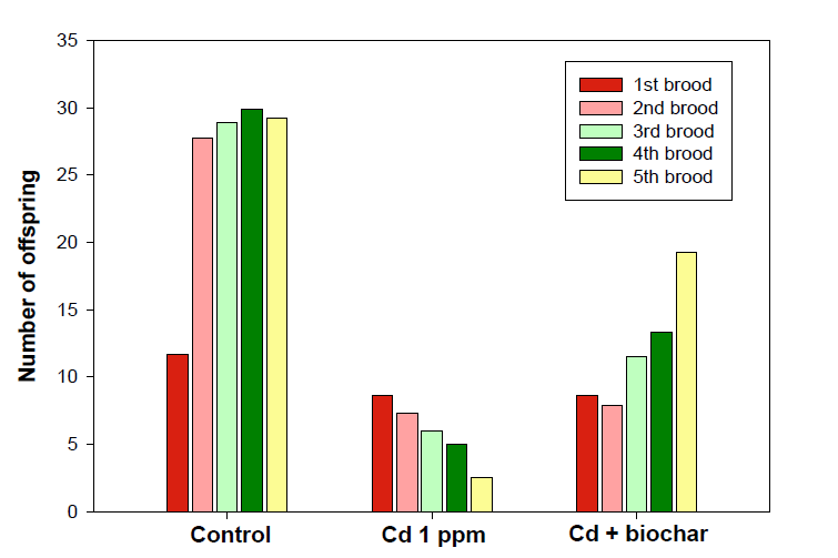 Effect of cadmium (1 mg/L) on the number of offspring in the presence of biochar