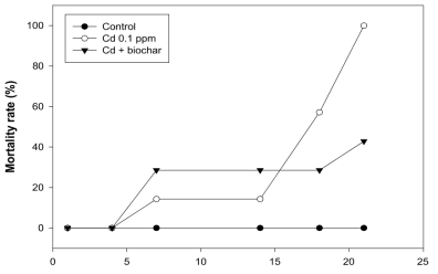 Effect of cadmium (0.1 mg/L) on the mortality rate (%) of daphnias in the presence of biochar