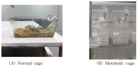 Cages for drinking water exposure treatments