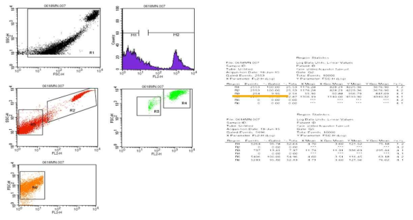 Flow cytometry analysis of MMC treated CHL cell