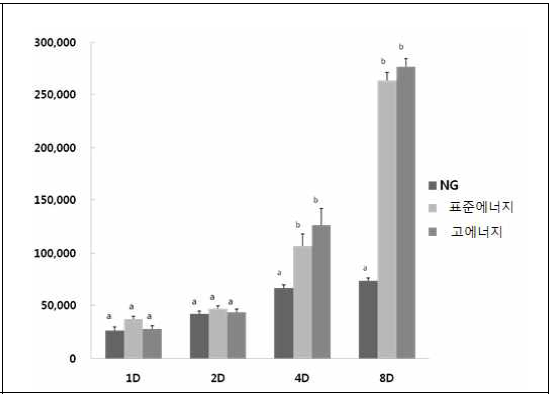 분화유도후 glucose 농도 처리에 따른 세포 증식 양상