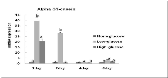 Glucose 농도가 다른 환경에서 배양된 MAC-T cell의 분화 유도 후 αS1-casein 유전자의 발현량 조사