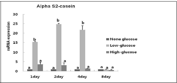 Glucose 농도가 다른 환경에서 배양된 MAC-T cell의 분화 유도 후 α S2-casein 유전자의 발현량 조사