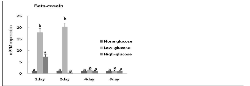 Glucose 농도가 다른 환경에서 배양된 MAC-T cell의 분화 유도 후 β-casein 유전자의 발현량 조사