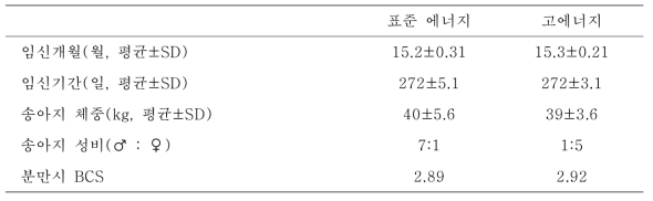 에너지 급여 수준에 따른 임신 개월 및 분만 송아지에 미치는 영향