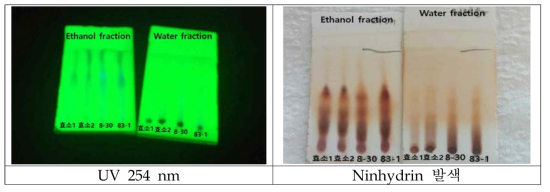 에탄올과 증류수 정제군의 peptide 조성 TLC (Normal phase) 분석결과 (TLC 조건: BuOH/Acetic acid/water = 4/1/1)
