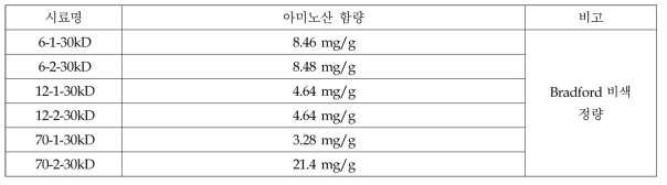 분리정제물의 단백질 정량 분석결과