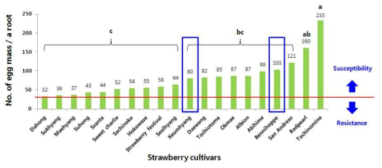 딸기 품종별 당근뿌리혹선충의 증식율