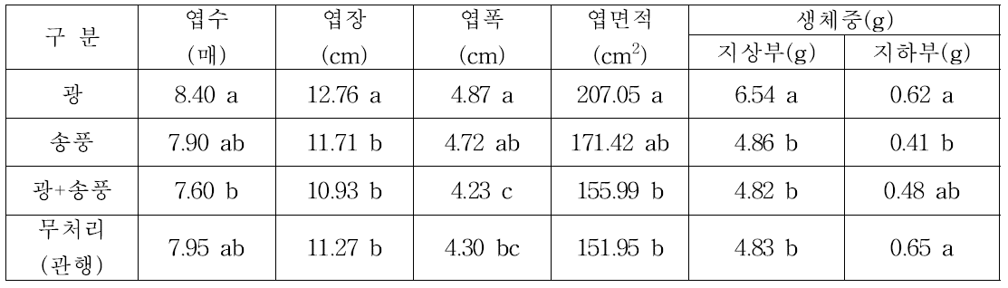 근권부의 물리적 자극에 따른 생육 효과