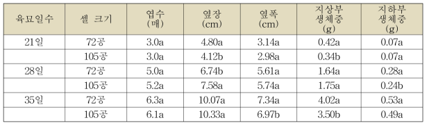 상추 생육