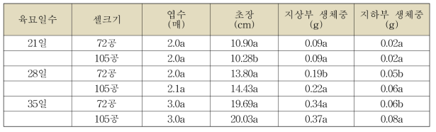 양파 생육