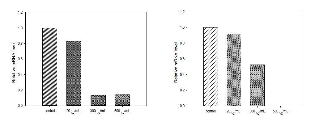 mRNA levels for C/EBPα and PPARγ genes, as measured by RT-qPCR in 3T3-L1 cells