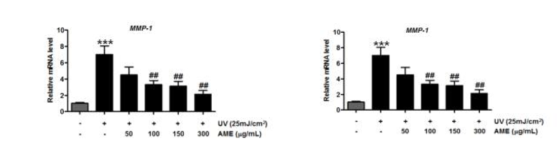 Effect of AME on expression of MMP-1 mRNA in human fibroblast cells