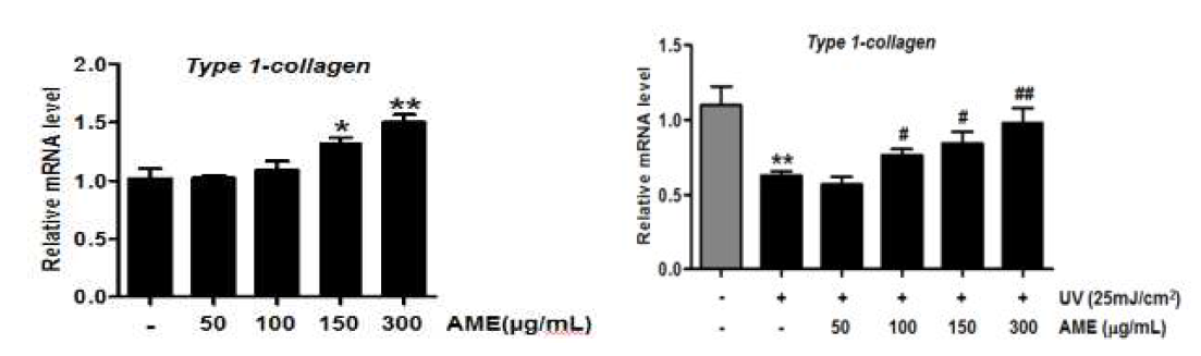Effect of AME on expression of PIP mRNA in human fibroblast cells