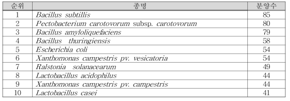 세균의 종별 분양 순위