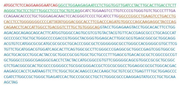 다른 종과의 비교를 통한 돼지iGb3s mRNA 서열