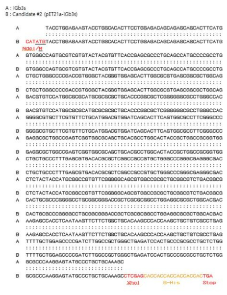 염기서열로 코딩된 iGb3s epitope에 특이적으로 결합하는 초급성 면역거부반응 억제 확인용 항체