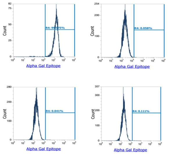 GT-MCP/-MCP + iGb3s-/- 세포주의 Gal-epitope 발현 분석