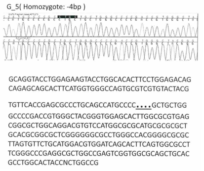 GT-MCP/-MCP + iGb3s-/- 공여세포(#5)에서의 유전자 결손 분석