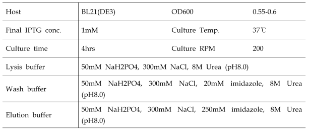 조정된 iGb3s 목적 단백질을 위한 E-coli host 배양 조건