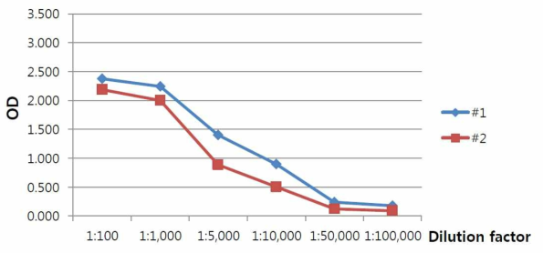 1차 토끼 혈청에서의 iGb3s 항체 ELISA 테스트 도표