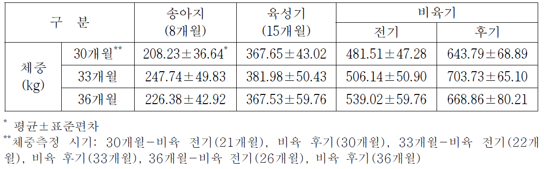 제주흑한우(제주흑우×한우) 비육단계별 체중 변화