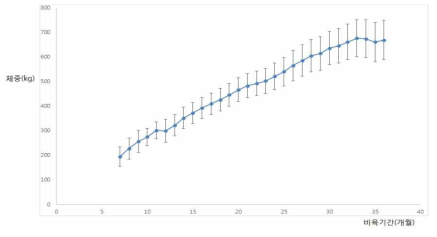 제주흑한우(제주흑우×한우) 비육기간 중 체중 변화