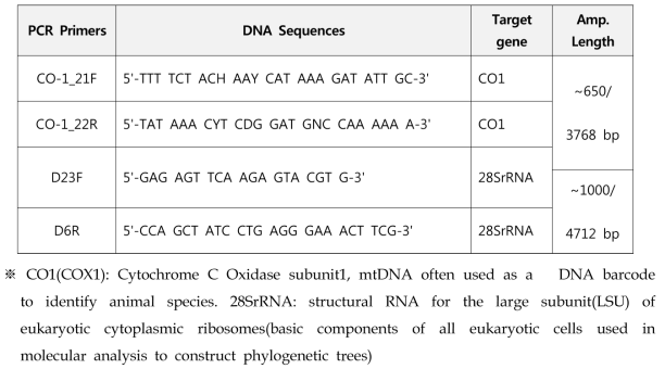 응애 동정에 사용된 PCR Primer