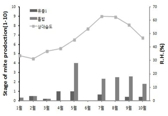 흰점박이꽃무지 유충 및 톱밥에 발생한 응애량