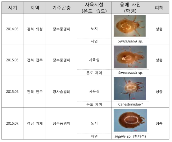 2014-2015년 학습·애완 곤충 사육농가의 응애 발생 현황