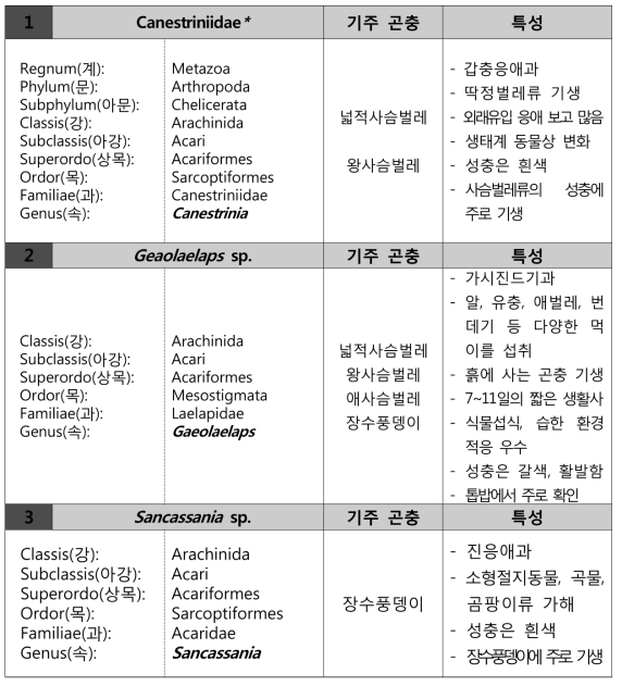 학습·애완 곤충에 발생한 기생응애의 분류 및 특성