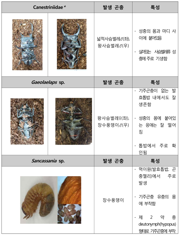 학습·애완 곤충에 발생하는 대표 응애류 선정 및 피해